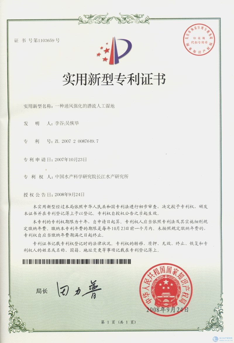 点击放大