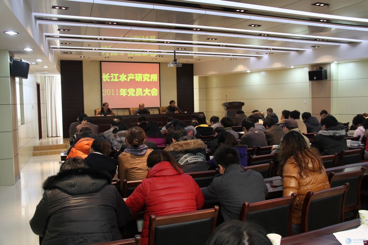 点击放大