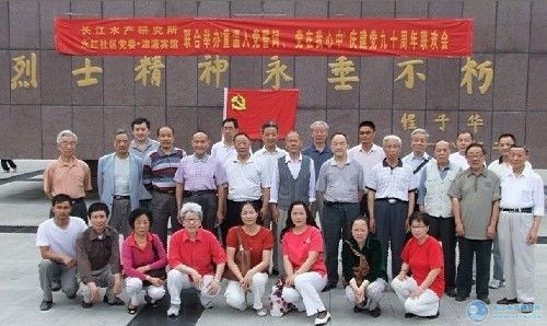 点击放大